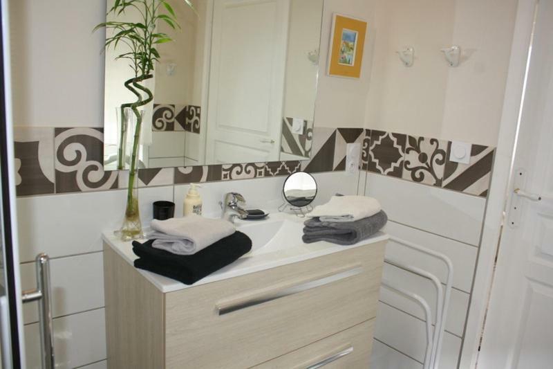 Bed and Breakfast La Pecherie à Selles-sur-Cher Extérieur photo
